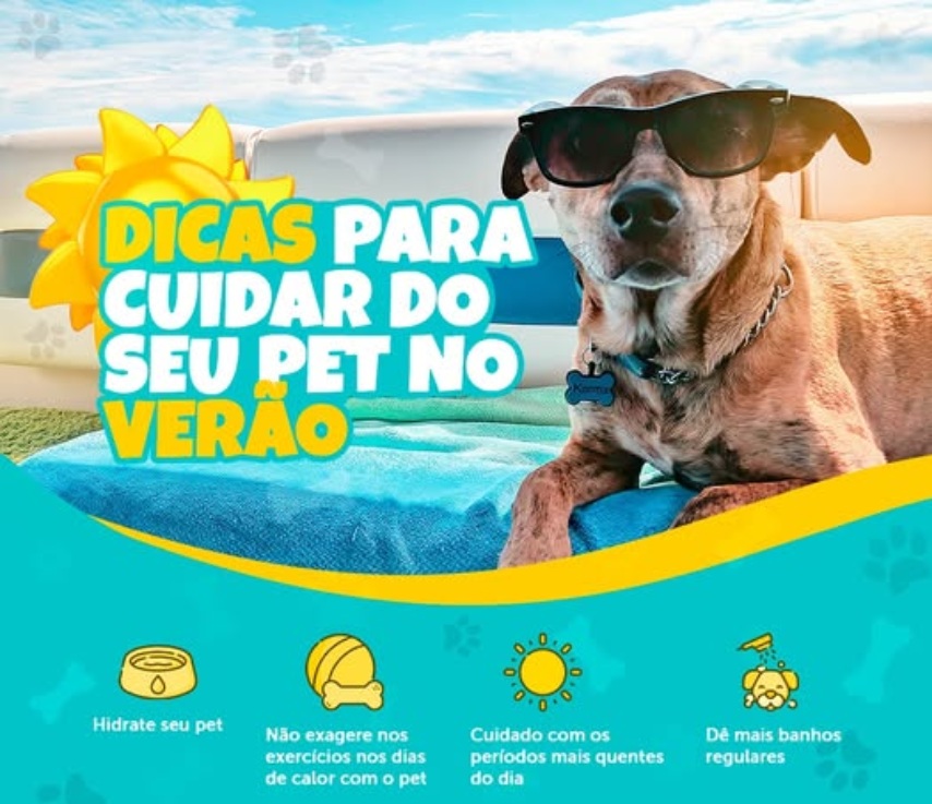 Dicas de Cuidados com os Pets no Verão!